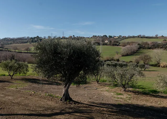 Casa Addis Scapezzano